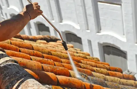 Nettoyage de toitures - Villages du Lac de Paladru